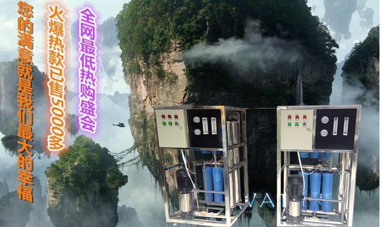 0.25/0.5T反滲透水處理設(shè)備簡(jiǎn)易機(jī)